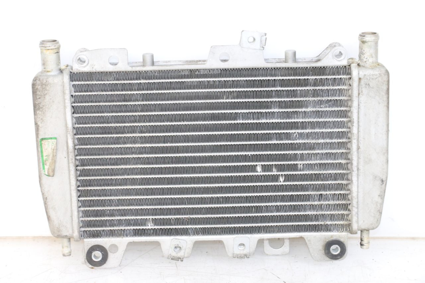 photo de RADIATOR PIAGGIO X10 125 (2012 - 2017)