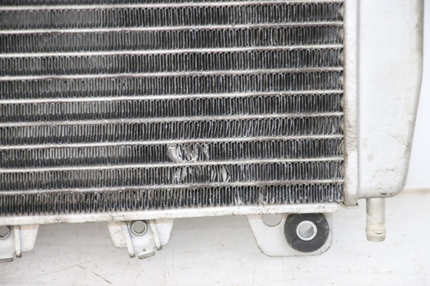 photo de RADIATOR PIAGGIO X10 125 (2012 - 2017)