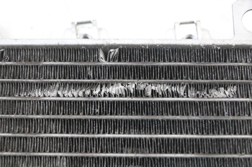 photo de RADIATOR PIAGGIO X10 125 (2012 - 2017)