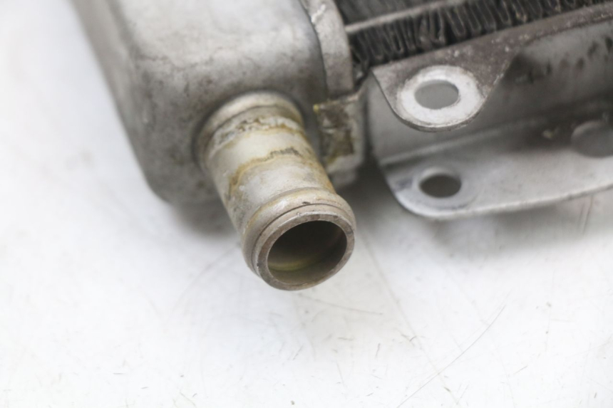 photo de RADIATOR PIAGGIO X10 125 (2012 - 2017)