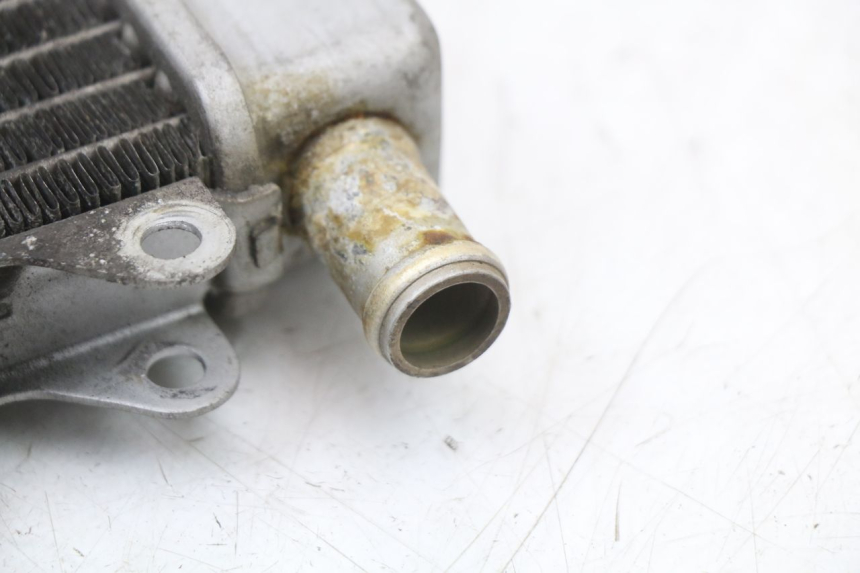 photo de RADIATOR PIAGGIO X10 125 (2012 - 2017)