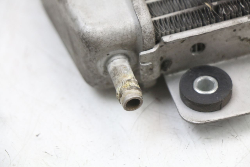 photo de RADIATOR PIAGGIO X10 125 (2012 - 2017)