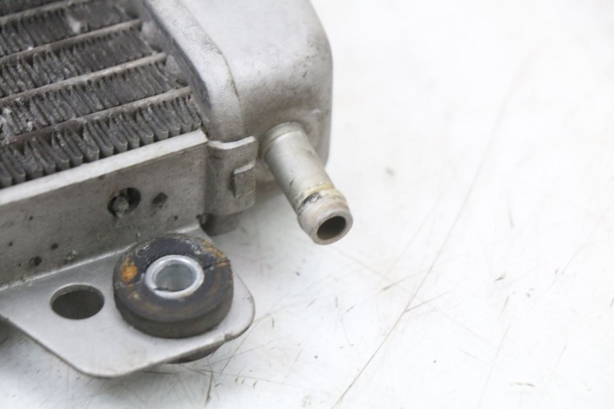 photo de RADIATOR PIAGGIO X10 125 (2012 - 2017)