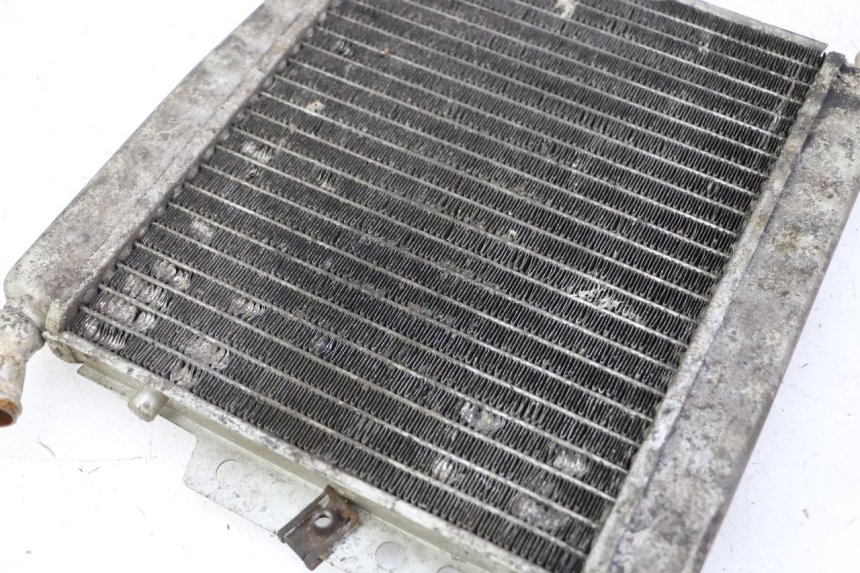 photo de COOLANT RADIATOR PIAGGIO X8 125 (2004 - 2007)