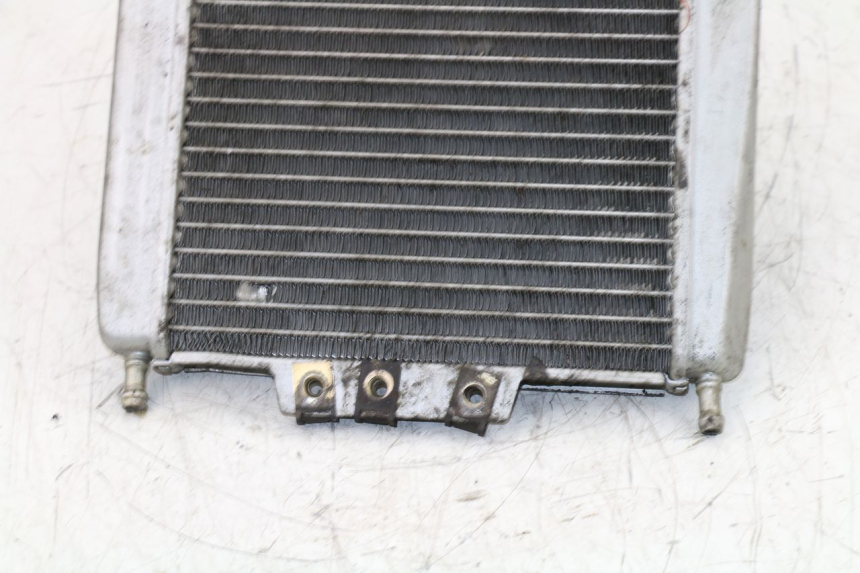 photo de COOLANT RADIATOR PIAGGIO X8 125 (2004 - 2007)