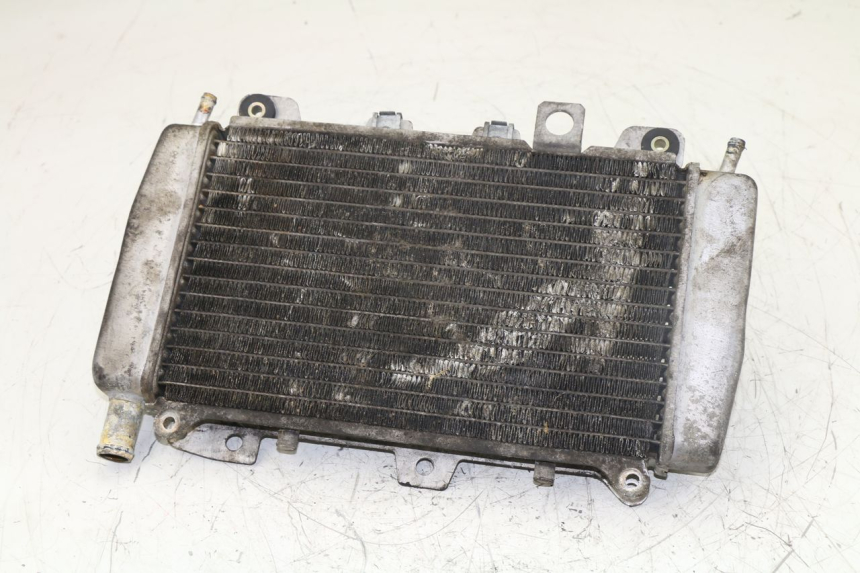 photo de RADIATOR PIAGGIO X9 125 (2000 - 2003)