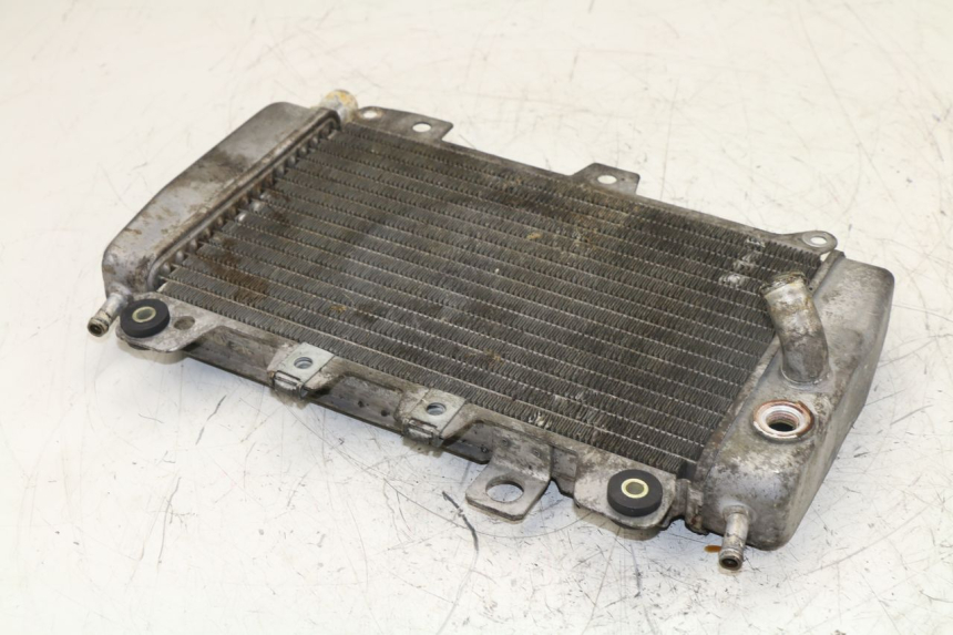 photo de RADIATOR PIAGGIO X9 125 (2000 - 2003)