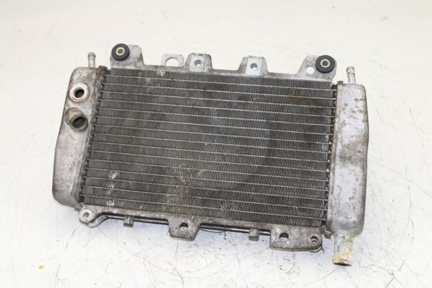 photo de RADIATOR PIAGGIO X9 125 (2000 - 2003)