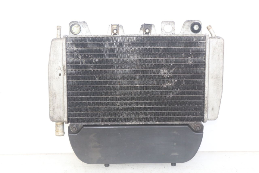 photo de RADIATOR PIAGGIO X9 EVOLUTION 250 (2003 - 2007)