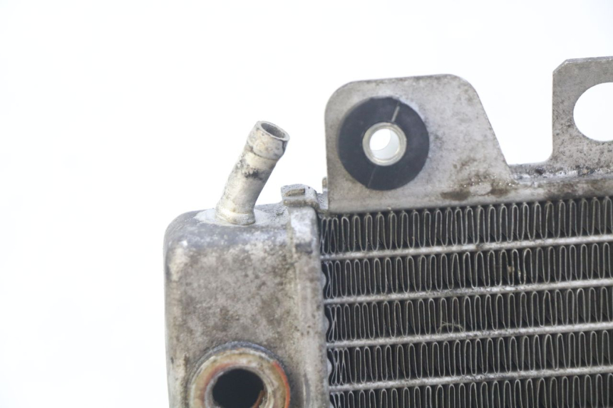 photo de RADIATOR PIAGGIO X9 EVOLUTION 250 (2003 - 2007)