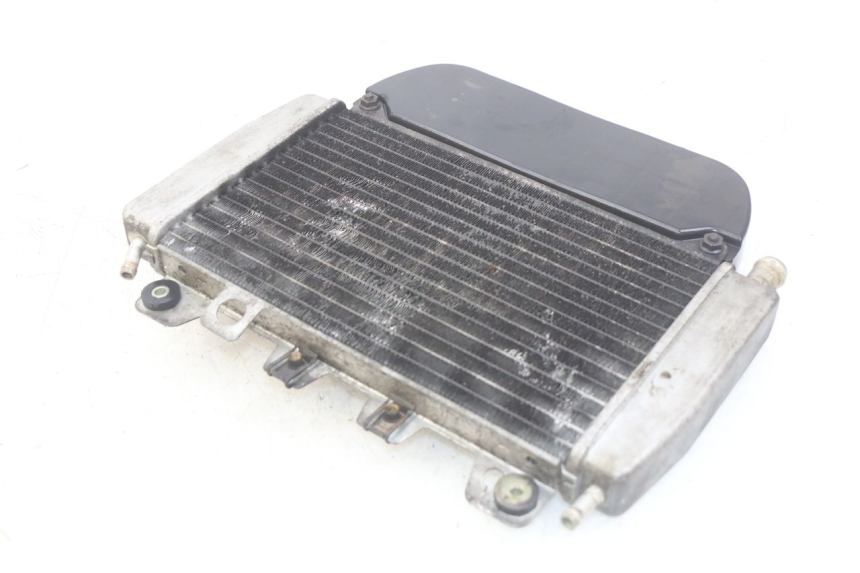 photo de RADIATOR PIAGGIO X9 EVOLUTION 250 (2003 - 2007)