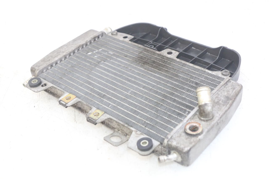 photo de RADIATOR PIAGGIO X9 EVOLUTION 250 (2003 - 2007)