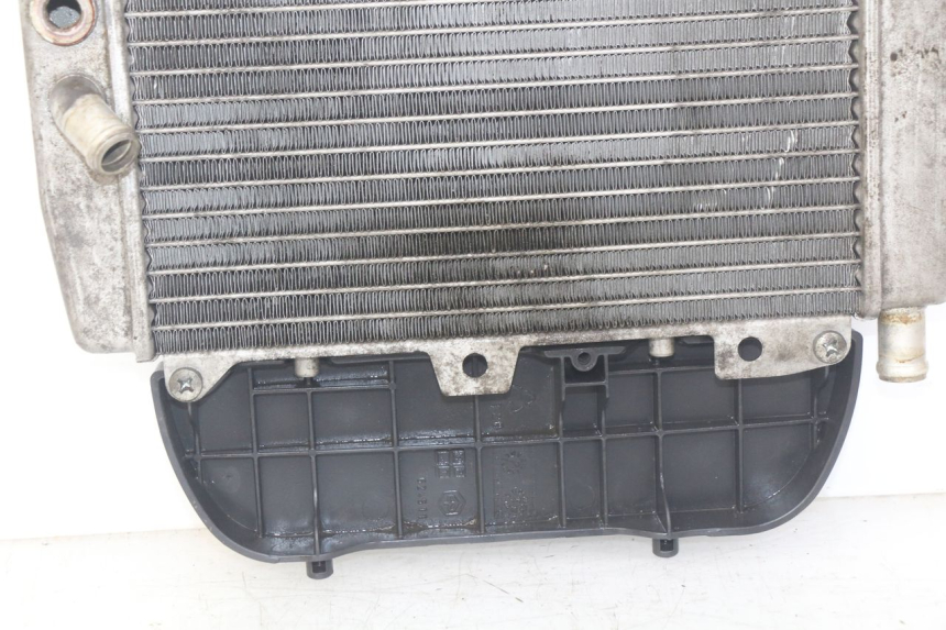 photo de RADIATOR PIAGGIO X9 EVOLUTION 250 (2003 - 2007)