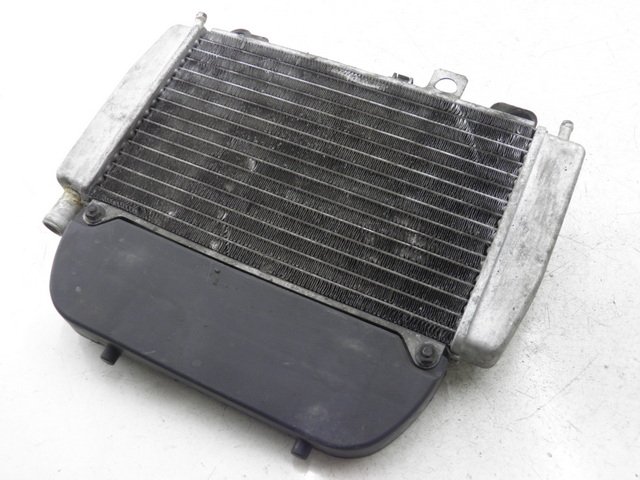 photo de COOLANT RADIATOR PIAGGIO X9 EVOLUTION 125 (2003 - 2007)