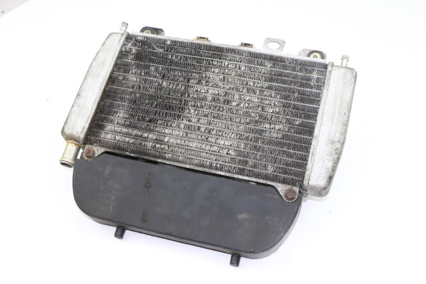 photo de COOLANT RADIATOR PIAGGIO X9 EVOLUTION 125 (2003 - 2007)