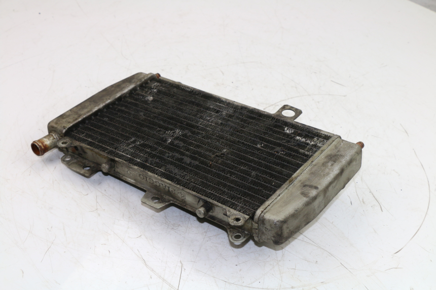 photo de COOLANT RADIATOR PIAGGIO X9 EVOLUTION 125 (2003 - 2007)