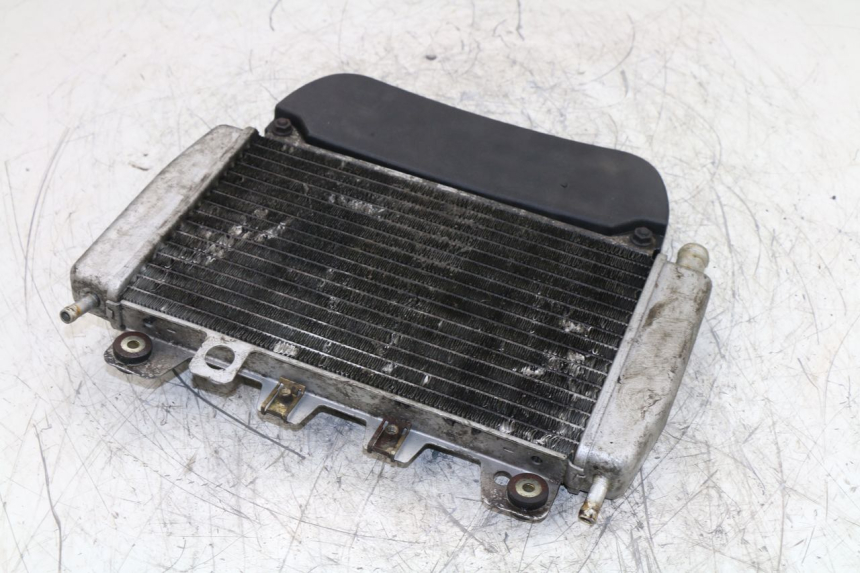 photo de COOLANT RADIATOR PIAGGIO X9 EVOLUTION 125 (2003 - 2007)