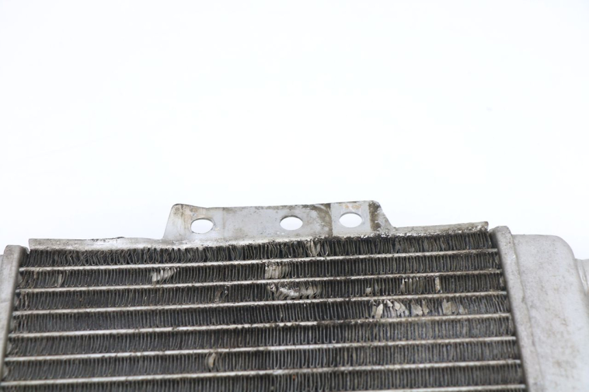 photo de RADIATOR PIAGGIO XEVO - X EVO 125 (2007 - 2016)