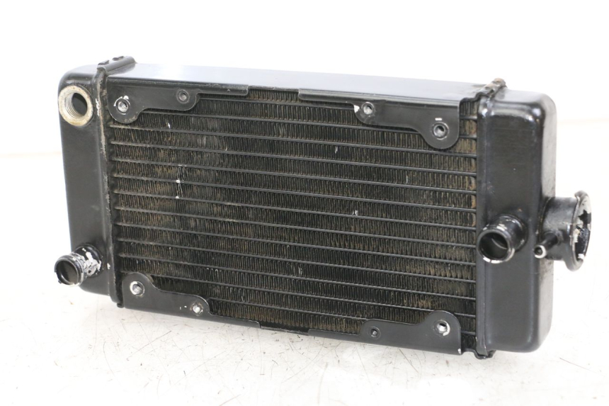 photo de COOLANT RADIATOR REGAL RAPTOR RAXTER 2 125 (2007 - 2015)