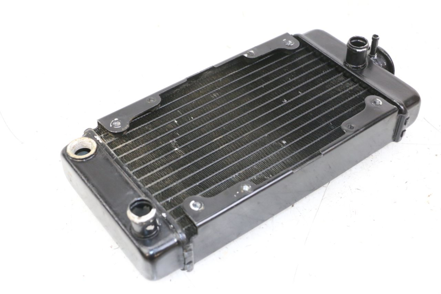 photo de COOLANT RADIATOR REGAL RAPTOR RAXTER 2 125 (2007 - 2015)