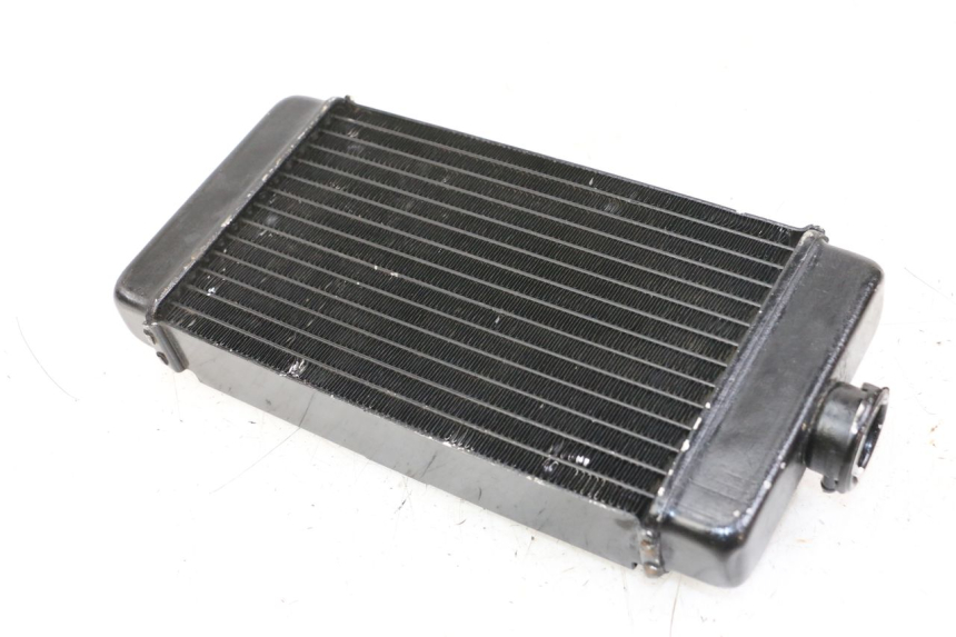 photo de COOLANT RADIATOR REGAL RAPTOR RAXTER 2 125 (2007 - 2015)