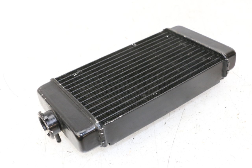 photo de COOLANT RADIATOR REGAL RAPTOR RAXTER 2 125 (2007 - 2015)