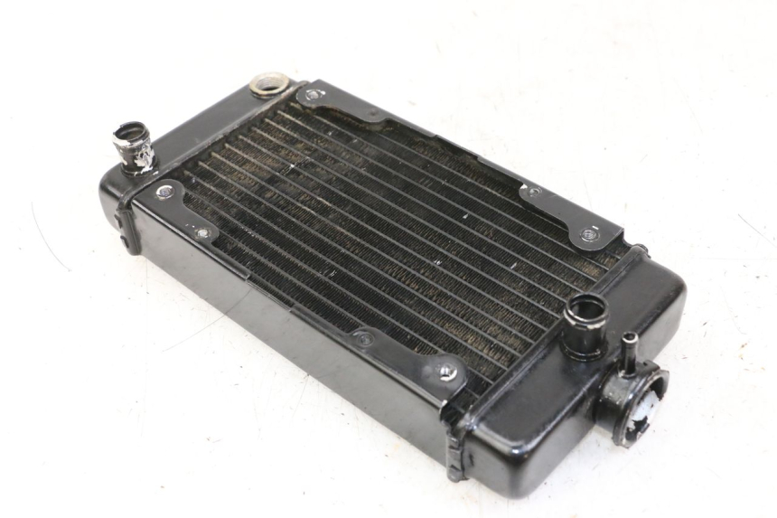 photo de COOLANT RADIATOR REGAL RAPTOR RAXTER 2 125 (2007 - 2015)