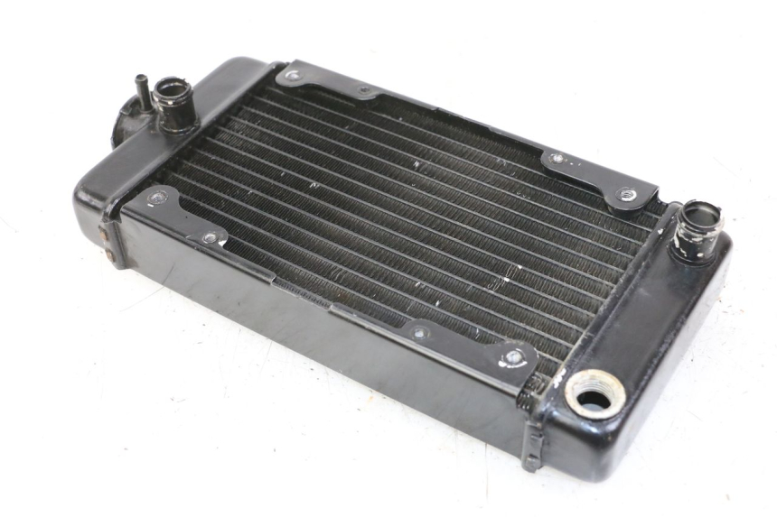 photo de COOLANT RADIATOR REGAL RAPTOR RAXTER 2 125 (2007 - 2015)