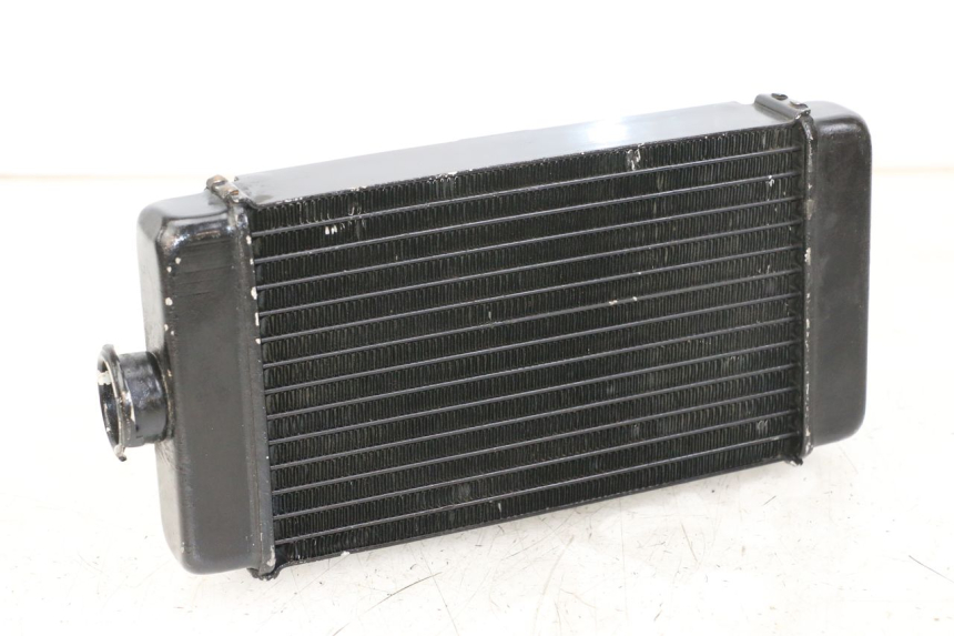 photo de COOLANT RADIATOR REGAL RAPTOR RAXTER 2 125 (2007 - 2015)