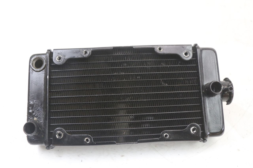 photo de COOLANT RADIATOR REGAL RAPTOR SPYDER 125 (2010 - 2018)