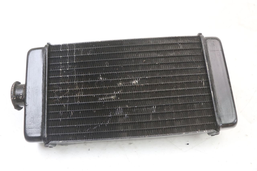 photo de COOLANT RADIATOR REGAL RAPTOR SPYDER 125 (2010 - 2018)