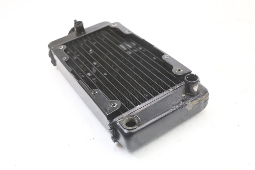 photo de COOLANT RADIATOR REGAL RAPTOR SPYDER 125 (2010 - 2018)