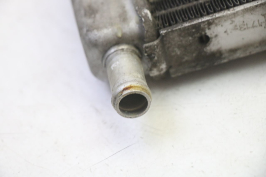 photo de RADIATOR GILERA RUNNER SP 50 (2009 - 2017)