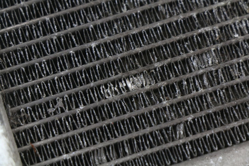 photo de COOLANT RADIATOR HONDA SH ABS 125 (2012 - 2017)