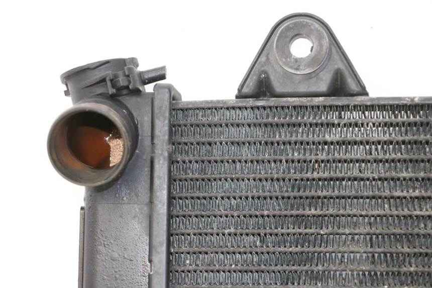 photo de COOLANT RADIATOR TRIUMPH SPRINT 900 (1995 - 1998)