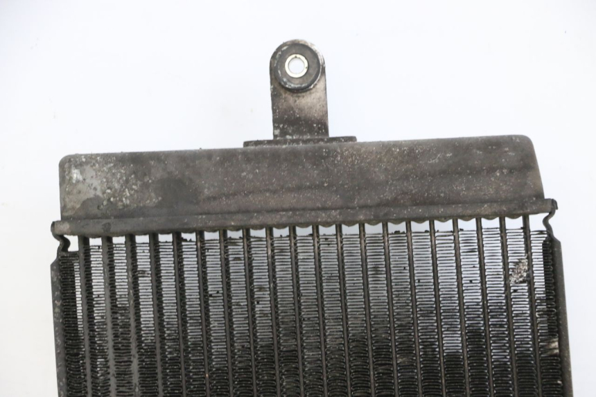 photo de COOLANT RADIATOR SUZUKI BURGMAN 125 (2015 - 2017)