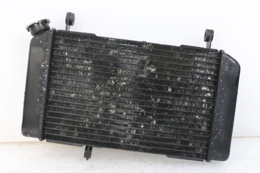 photo de RADIATOR SUZUKI SV N 650 (1999 - 2002)