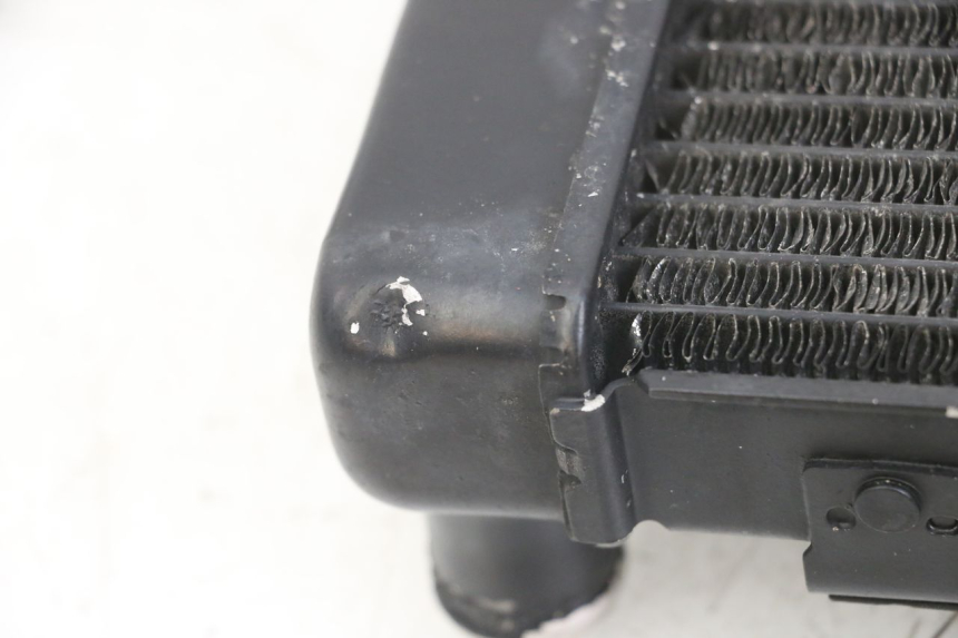 photo de RADIATOR SUZUKI SV N 650 (1999 - 2002)