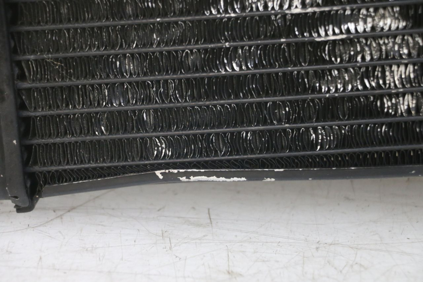 photo de RADIATOR SUZUKI SV N 650 (1999 - 2002)