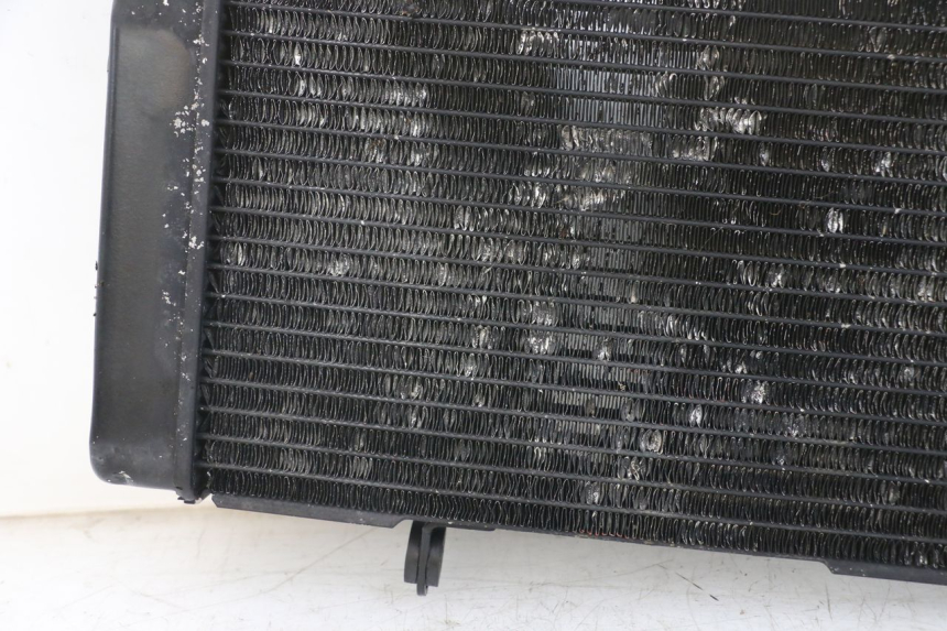 photo de RADIATOR SUZUKI SV N 650 (1999 - 2002)