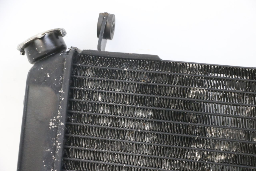 photo de RADIATOR SUZUKI SV N 650 (1999 - 2002)