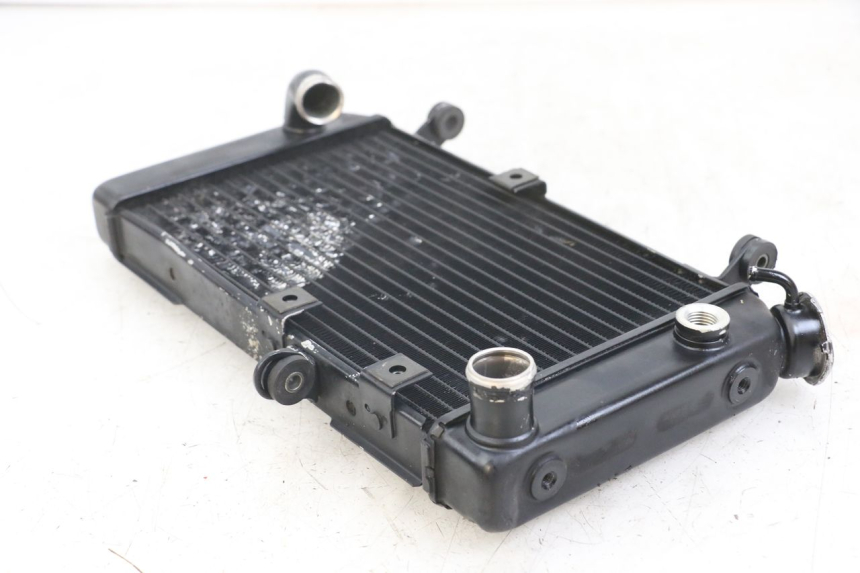 photo de RADIATOR SUZUKI SV N 650 (1999 - 2002)