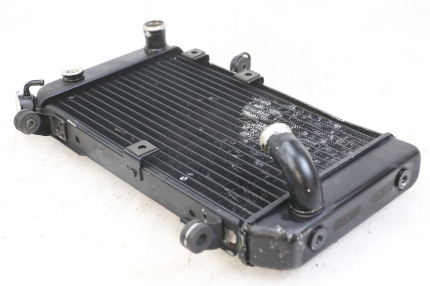 photo de RADIATOR SUZUKI SV N 650 (1999 - 2002)