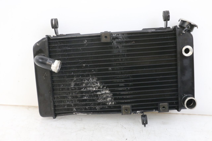 photo de RADIATOR SUZUKI SV N 650 (1999 - 2002)