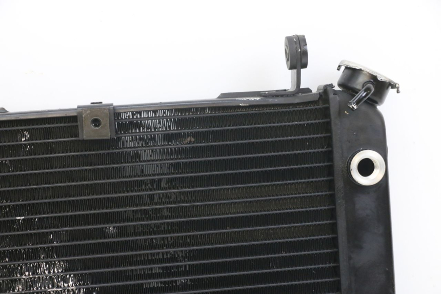 photo de RADIATOR SUZUKI SV N 650 (1999 - 2002)