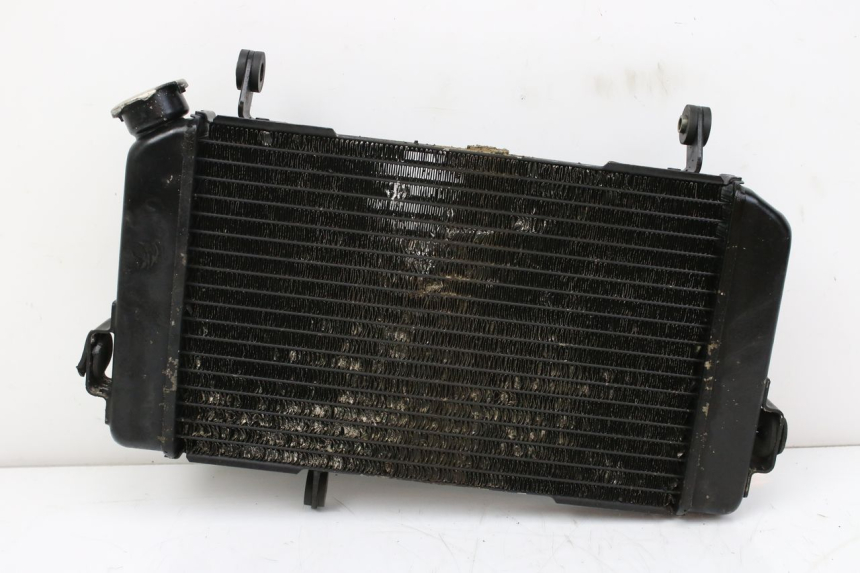 photo de RADIATOR SUZUKI SV S 650 (1999 - 2002)