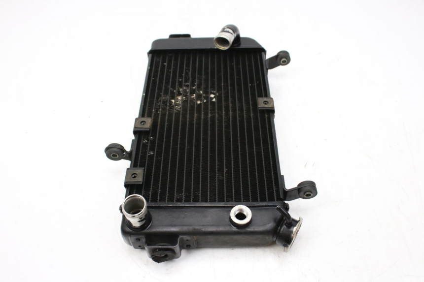 photo de RADIATOR SUZUKI SV S 650 (1999 - 2002)