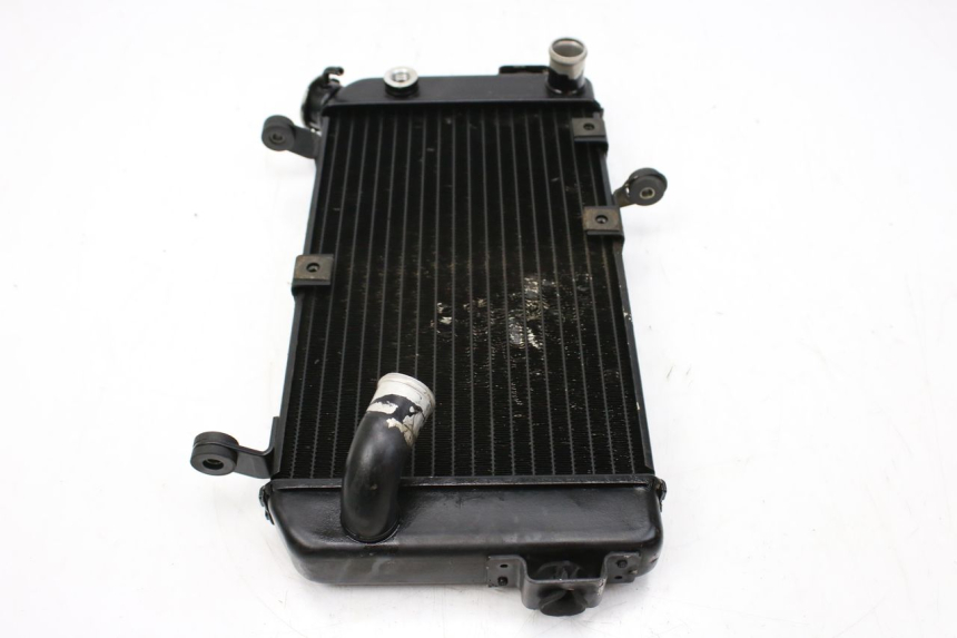 photo de RADIATOR SUZUKI SV S 650 (1999 - 2002)