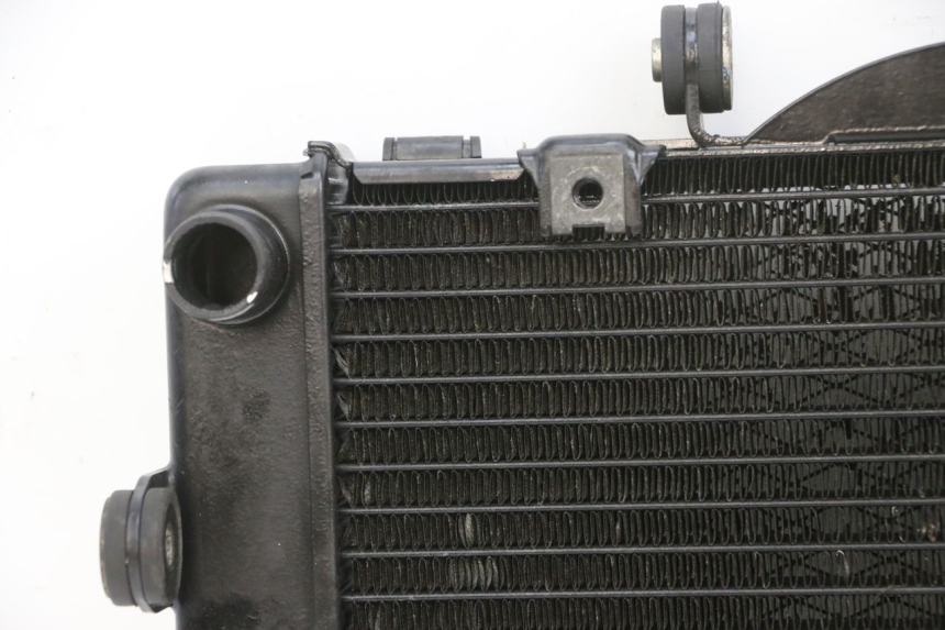 photo de RADIATOR YAMAHA TDM ABS 900 (2002 - 2014)