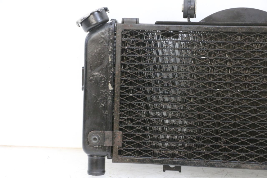 photo de RADIATOR YAMAHA TDM ABS 900 (2002 - 2014)